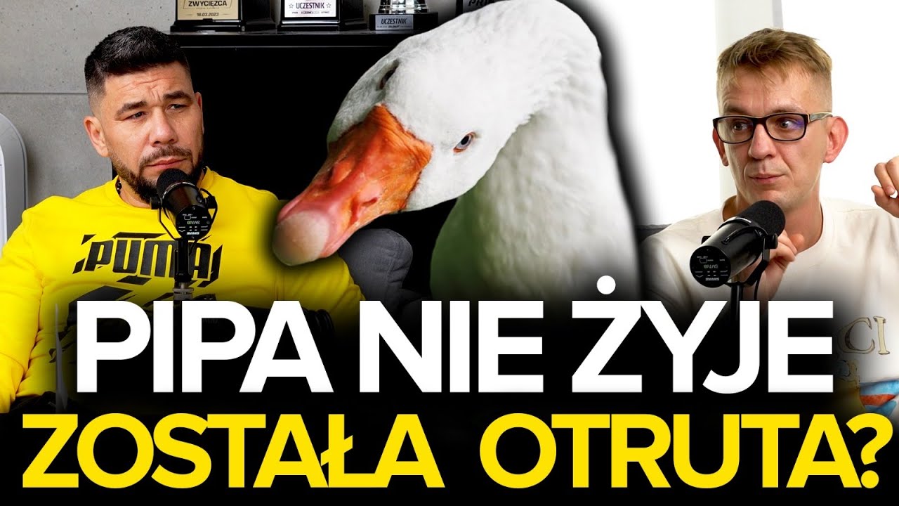 NIESAMOWITA PRZYJAŹŃ - DEKORATOR I GĘŚ PIPA.