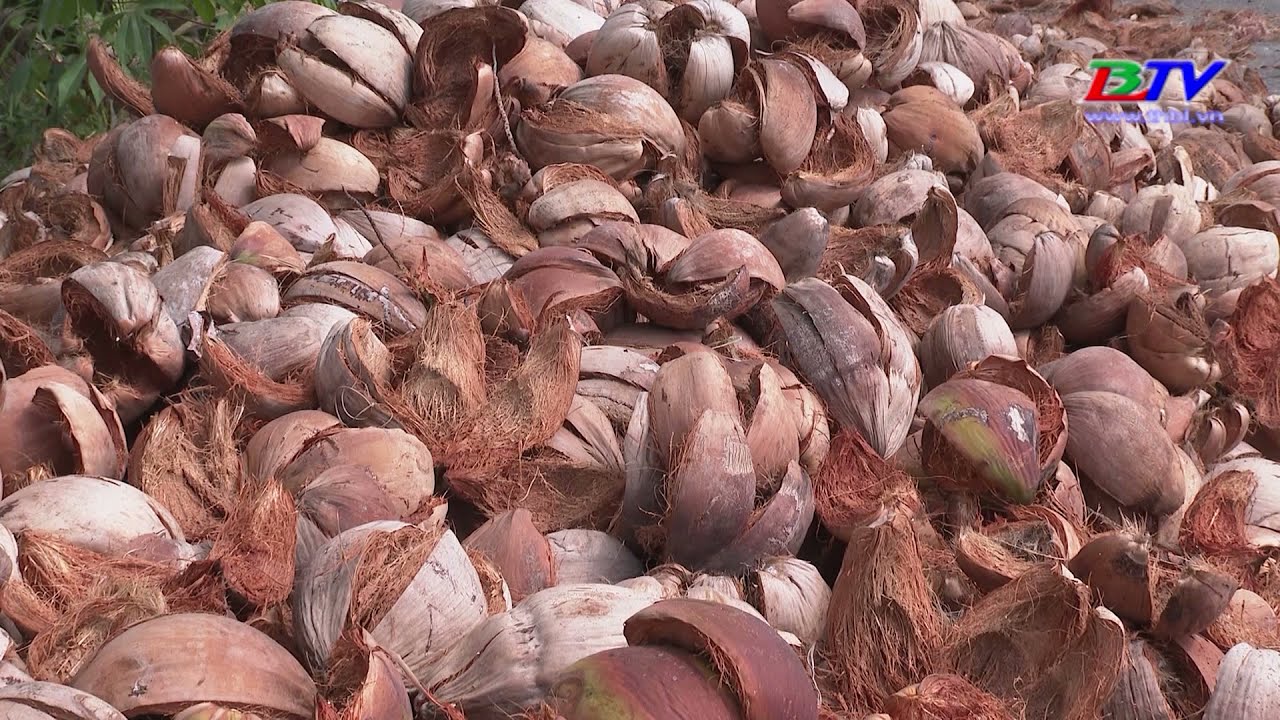 Khởi nghiệp từ phân xơ dừa.