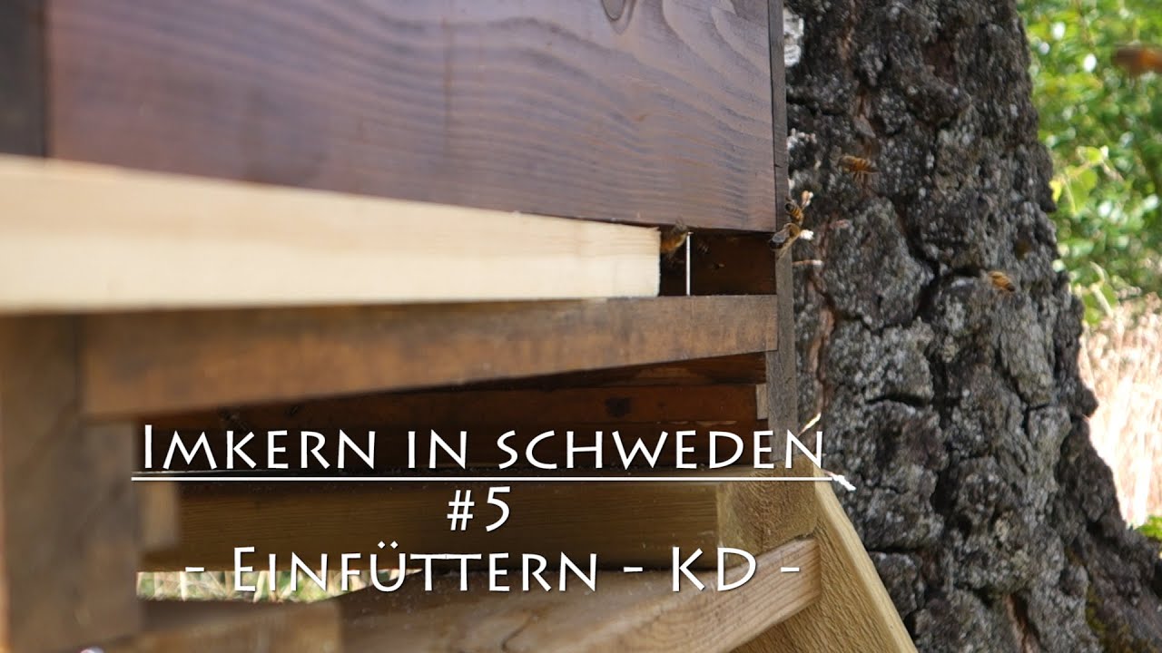 Einfüttern Ende Sebtember - Imkern in Schweden #5