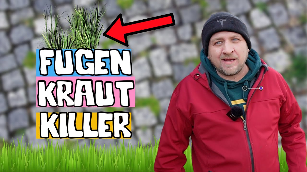 Nie wieder Unkraut in den Fugen Der ultimative Trick für einen sauberen Gehweg !