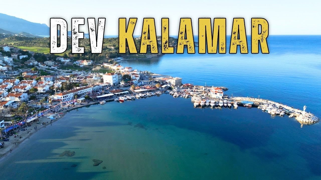 Yarışmanın En Büyük Kalamarını Aldık! - Mordoğan Levrek Avı Yarışması
