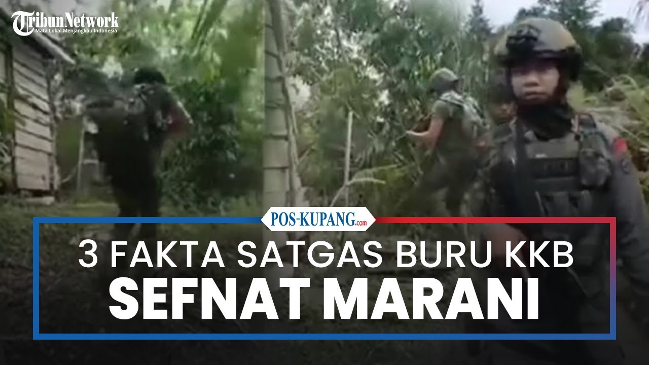 3 Fakta Satgas Damai Cartenz Buru KKB Sefnat Marani, Pelaku Pembakaran Polsek di Yapen