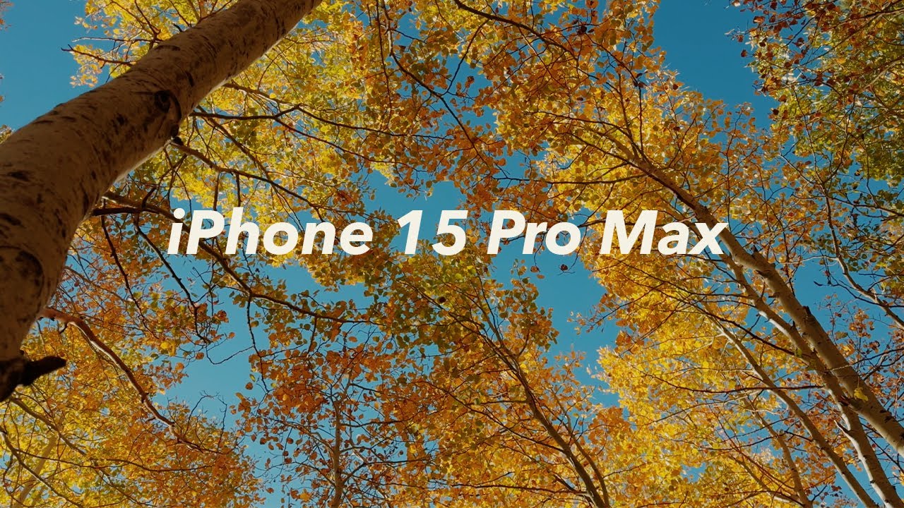 Fall in California - Shot on iPhone 15 Pro Max Pro Res Log