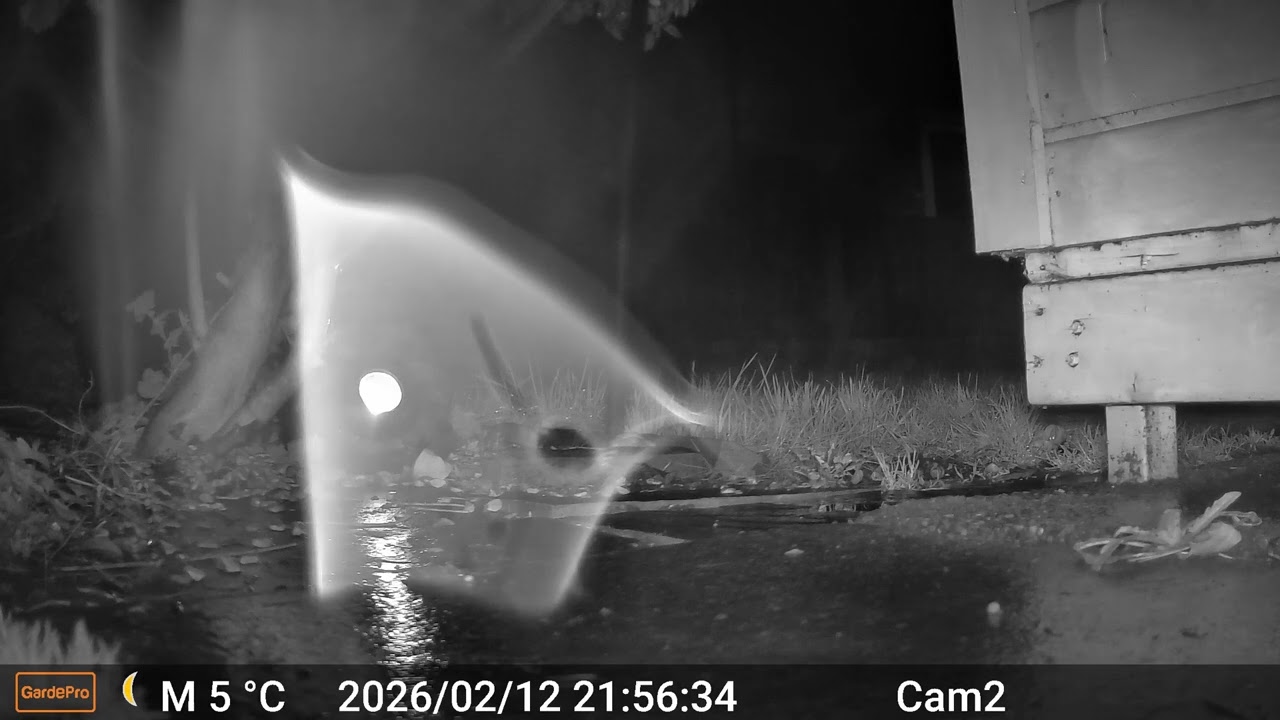 2026 02 12 2141 to 2026 02 13 0719