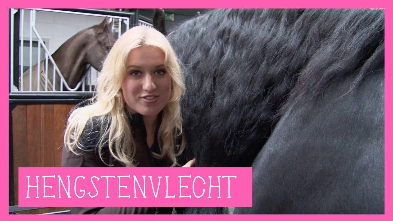 Hengstenvlecht | PaardenpraatTV