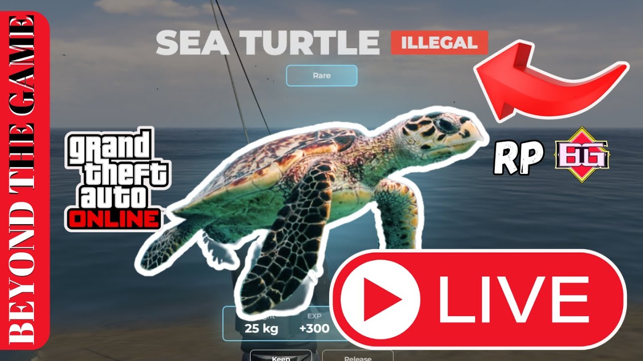 GTA 5 RP Grind'w/ Angel & Lima : LATE NITE