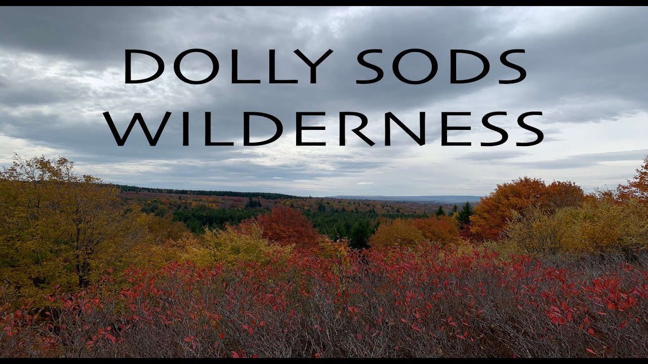 Dolly Sods | Wilderness Loop Hike