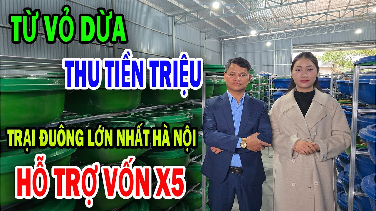 2025-2026 Xu Hướng Bùng Nổ Nghề Chế Biến Vỏ Dừa Làm Thức Ăn Chăn Nuôi Kiếm Bạc Triệu.