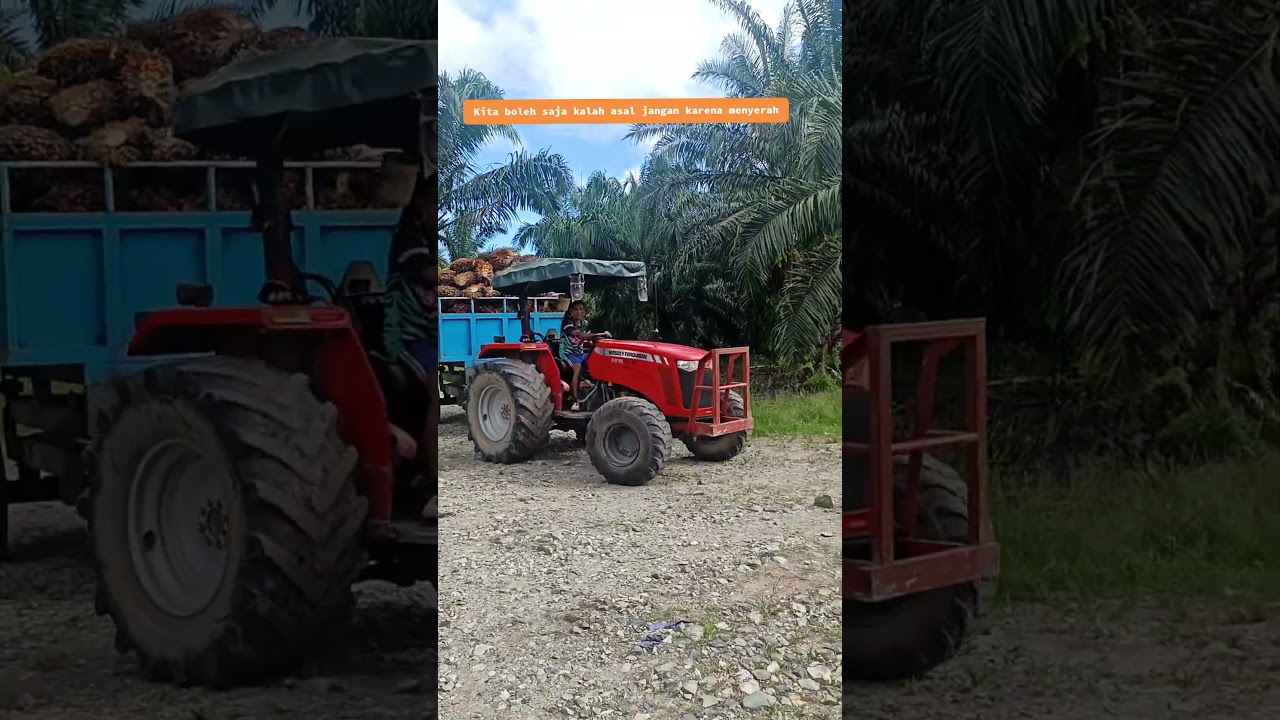 Traktor Sawit Kubota Forguson #automobile #driver