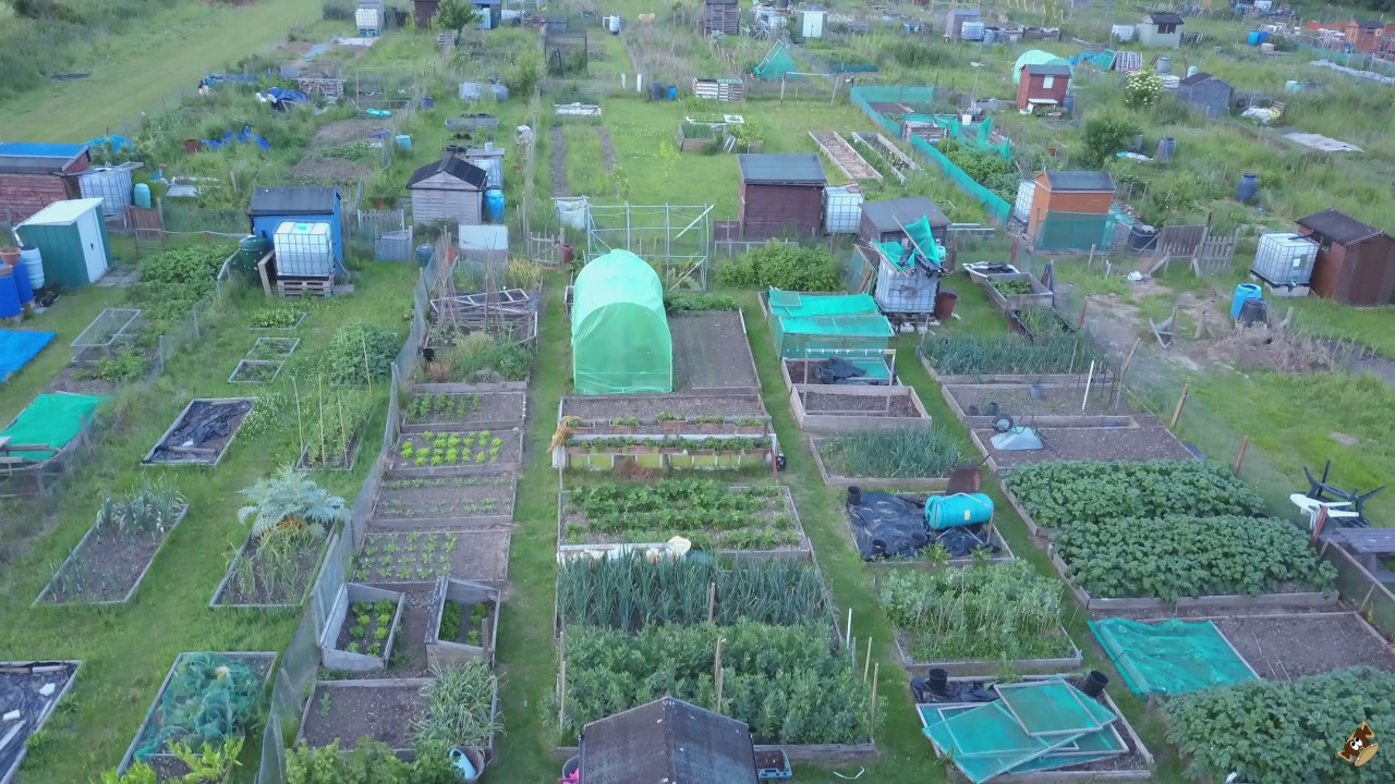 Stoneyflint Allotments, Kelvedon, Essex. 2017