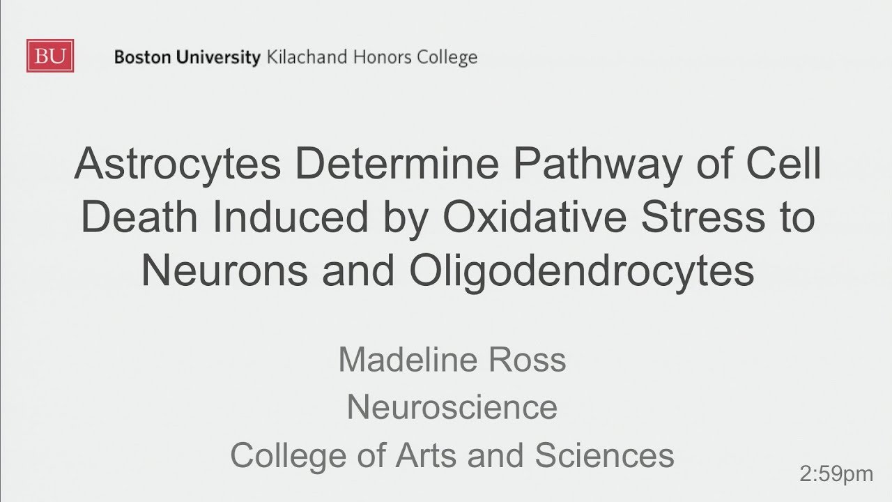 Madeline Ross: Astrocytes Determine Pathway of Cell Death Induced by Oxidative Stress