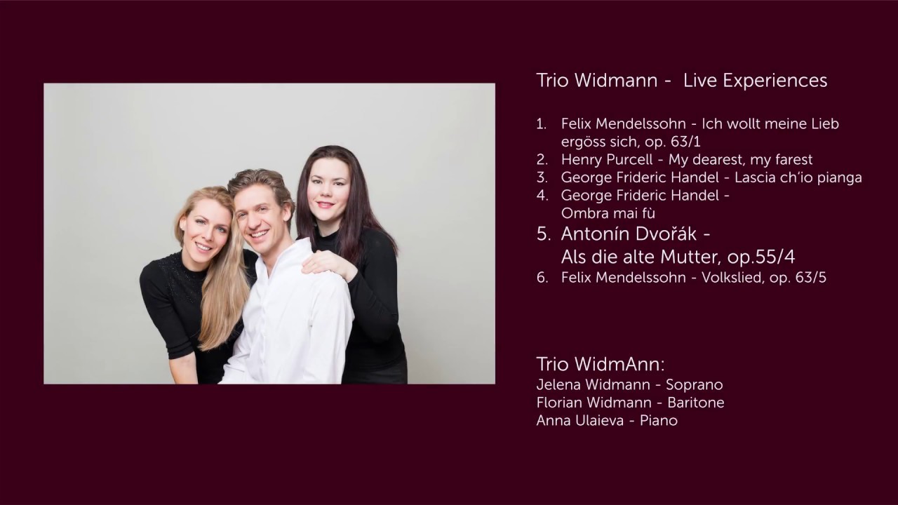 Trio WidmAnn - Live Experiences