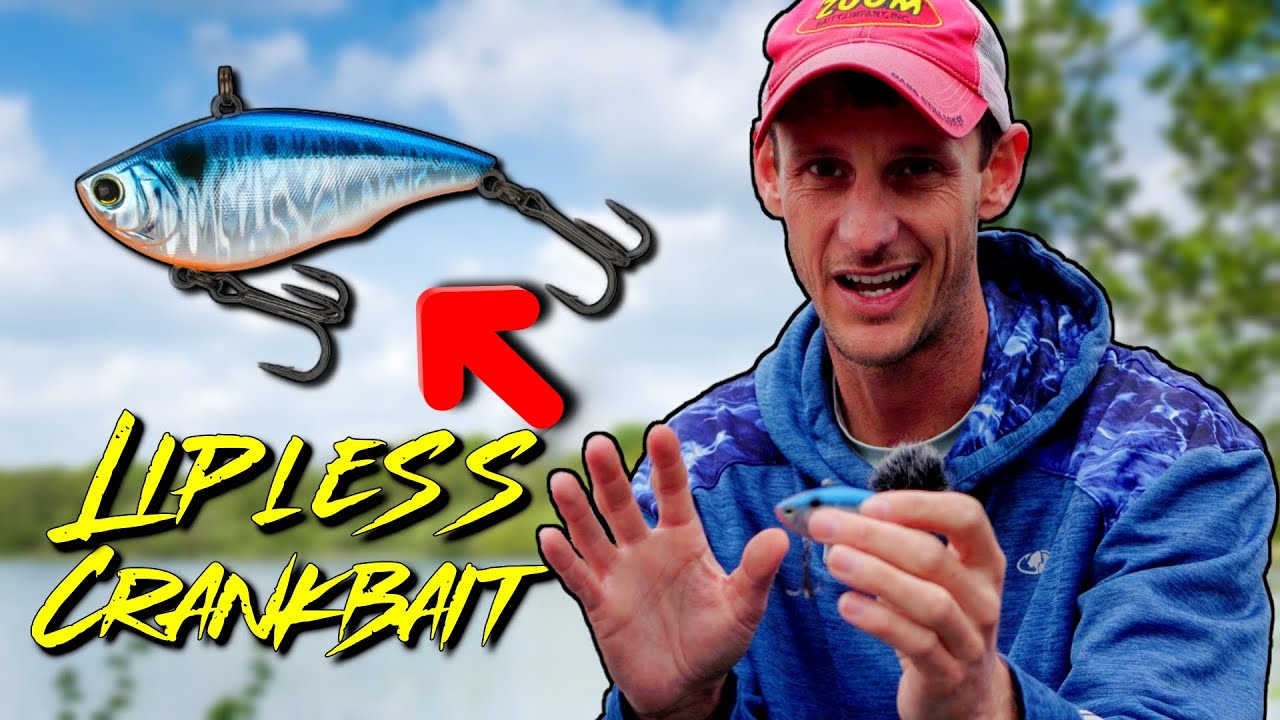 Lipless Crankbaits Are Underrated!