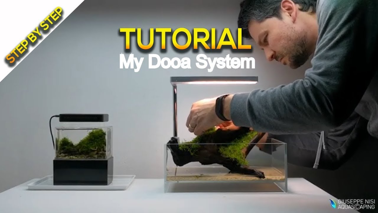 Tutorial Wabikusa Dooa System