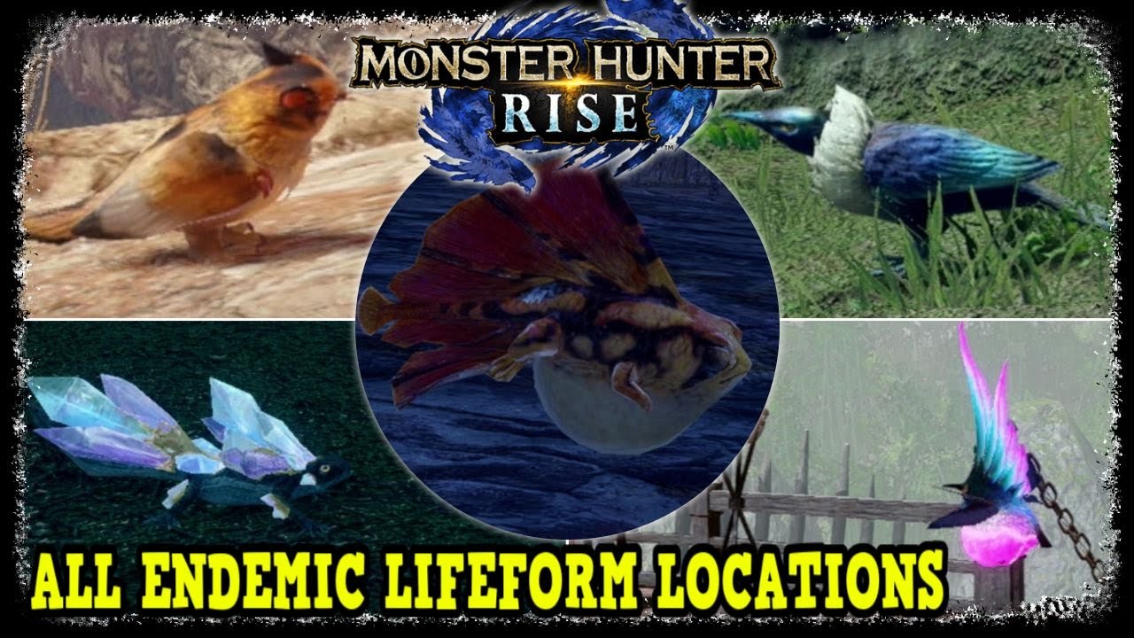All Endemic Lifeform Locations in Monster Hunter Rise Gold Ecologist's Award