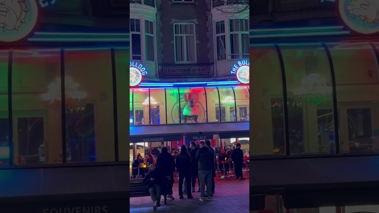 Coffeeshop The Bulldog Palace in Amsterdam(2024)