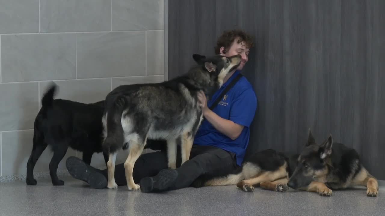 K9 Resorts Luxury brings premium pet care to West Michigan families