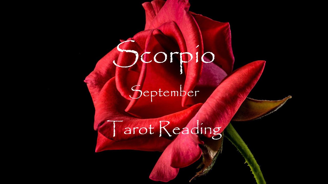 Scorpio September ~ 🌹The Absolute Best, So Lucky in Love, The Seed Has Now Been Germinated 🌹