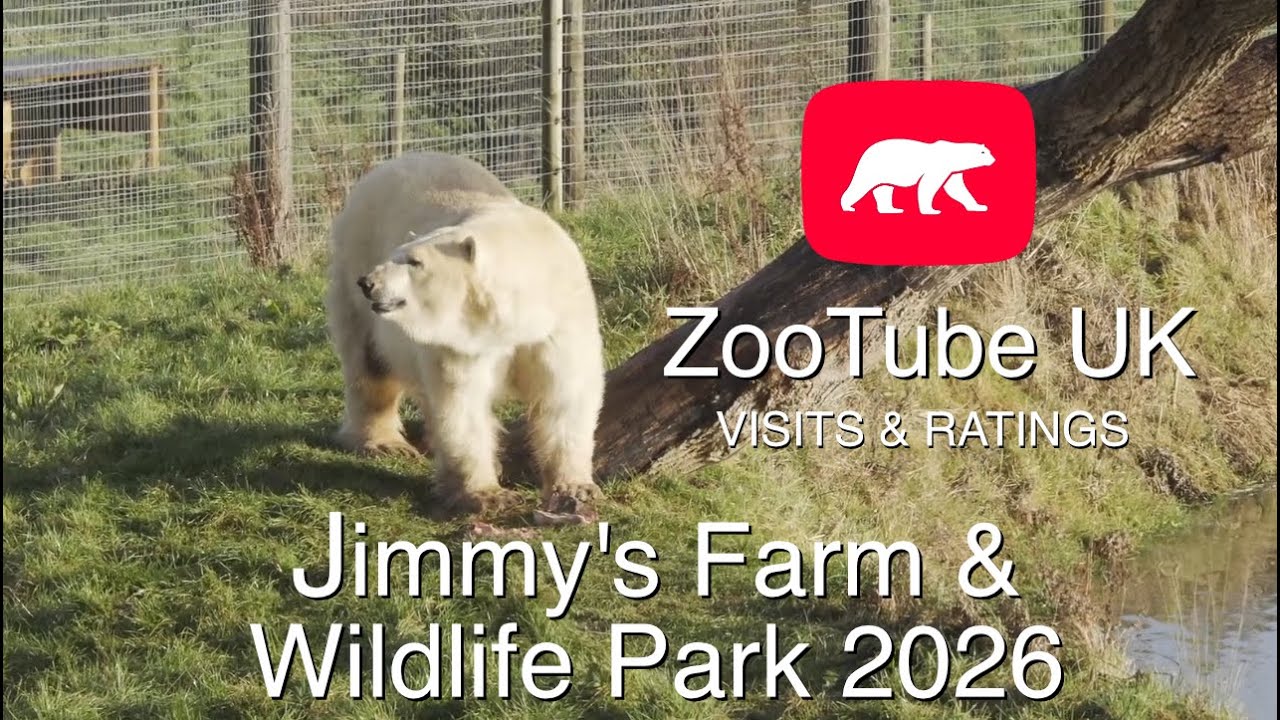 Jimmys Farm and Wildlife Park 16th January 2026