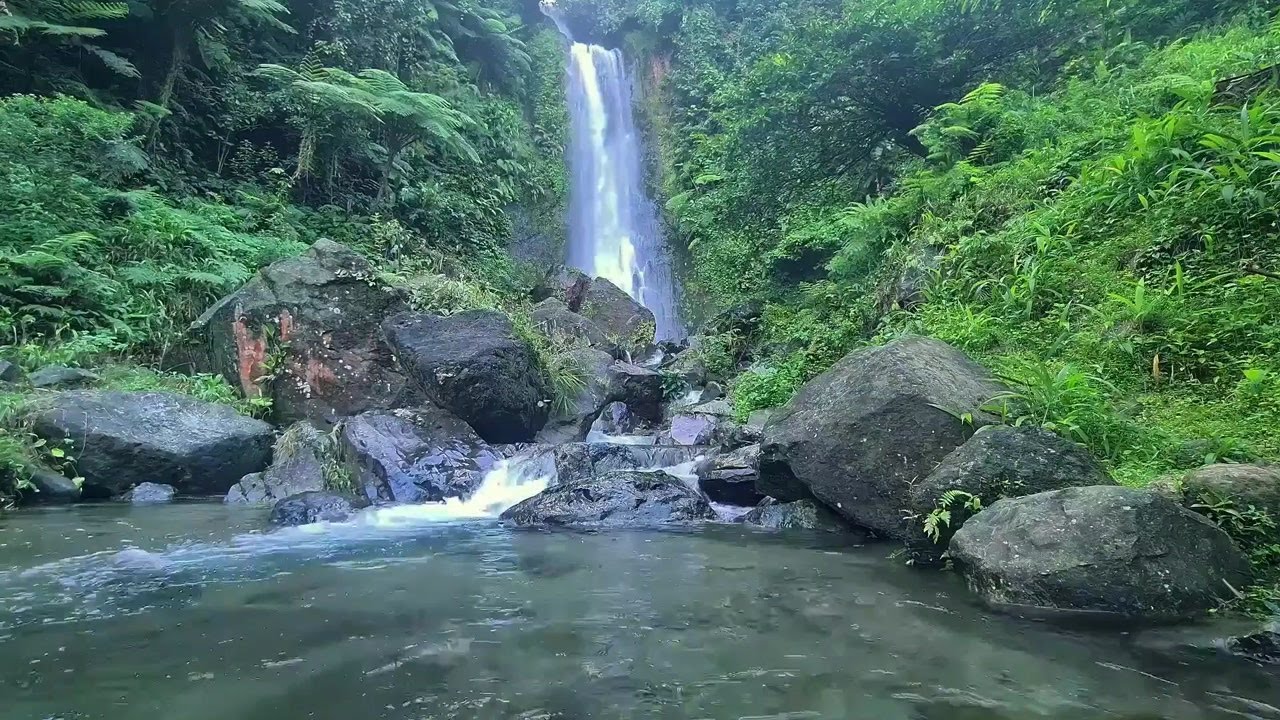 Peaceful Nature Stream | River Sound Ambience to Sleep, Study, and Feel Better