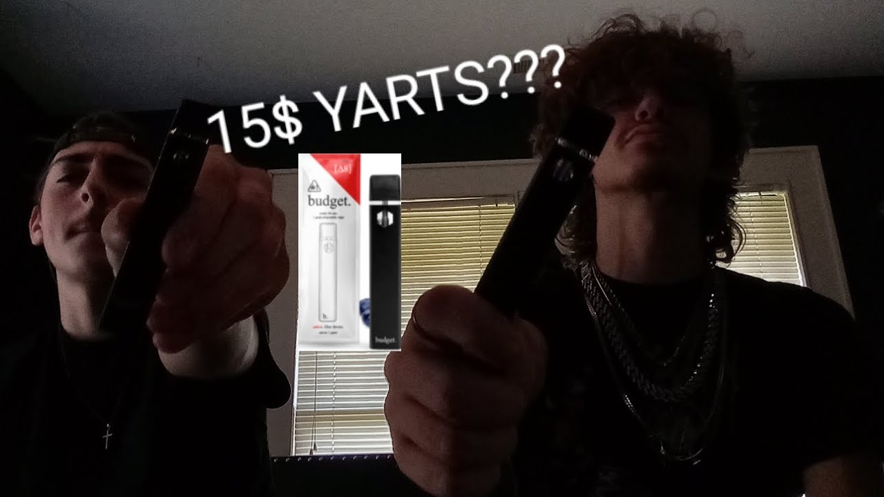 Is a 15$ budget 1g cart any good?