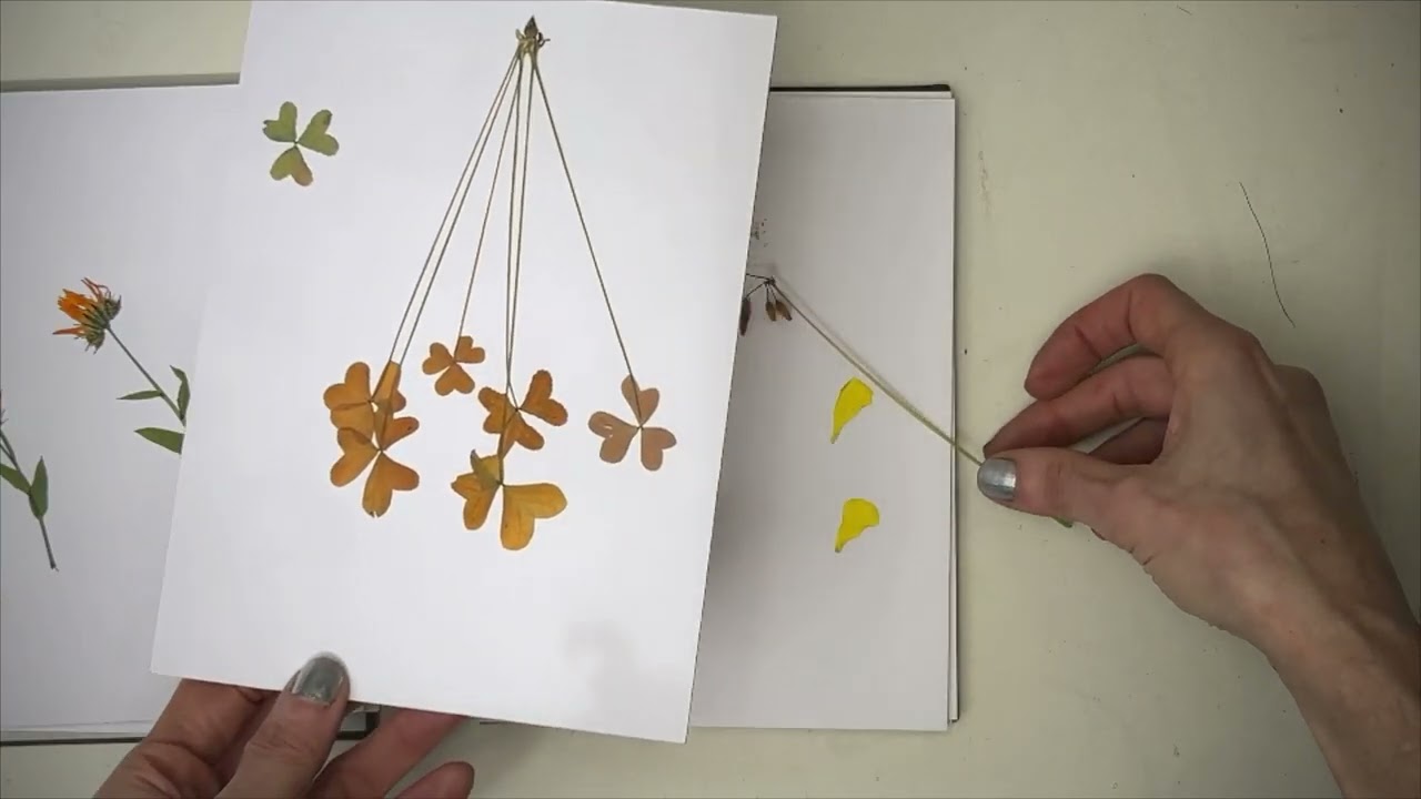 Flower Press Unveiling - Natural Dye Plants