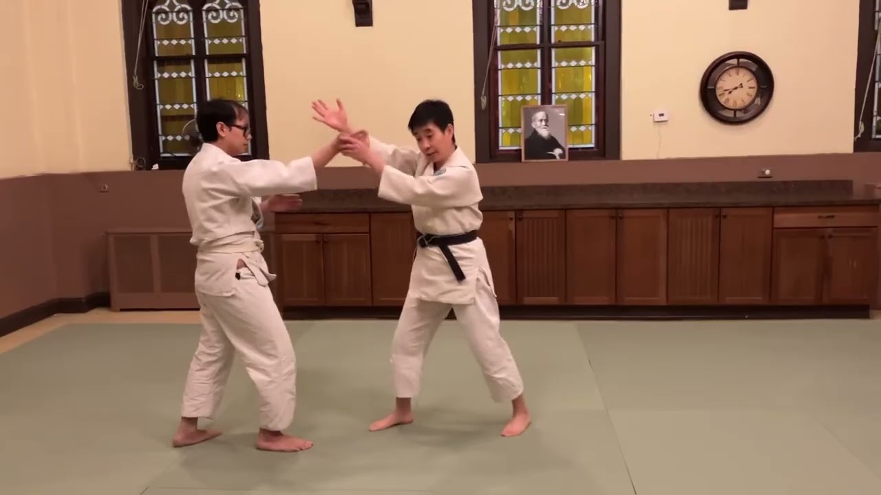 Aikido: Still Point and Duality
