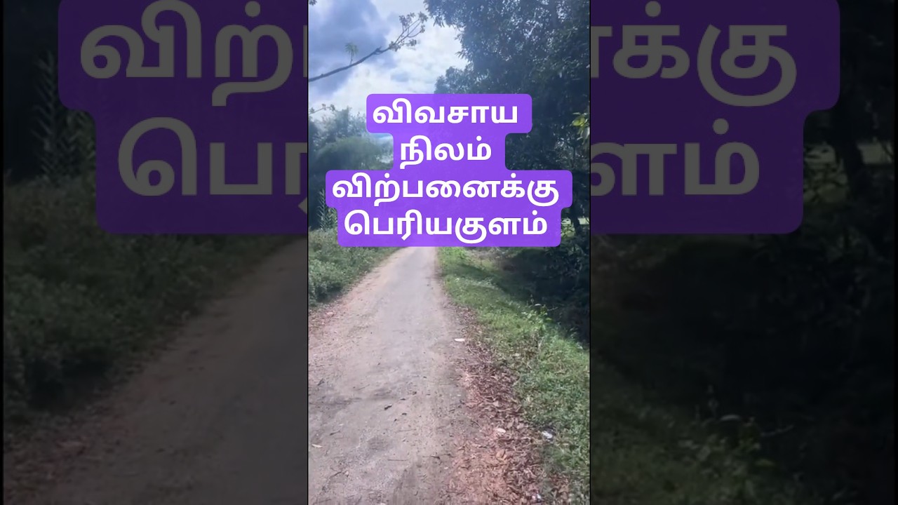 Farm land sales in Periyakulam. #thenirealestate  #tamilnadurealestate  #land #agriculture