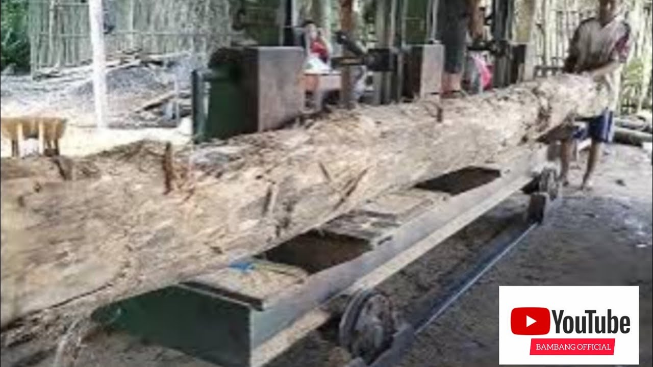 Tegaknya kayu jadi ukuran panjang