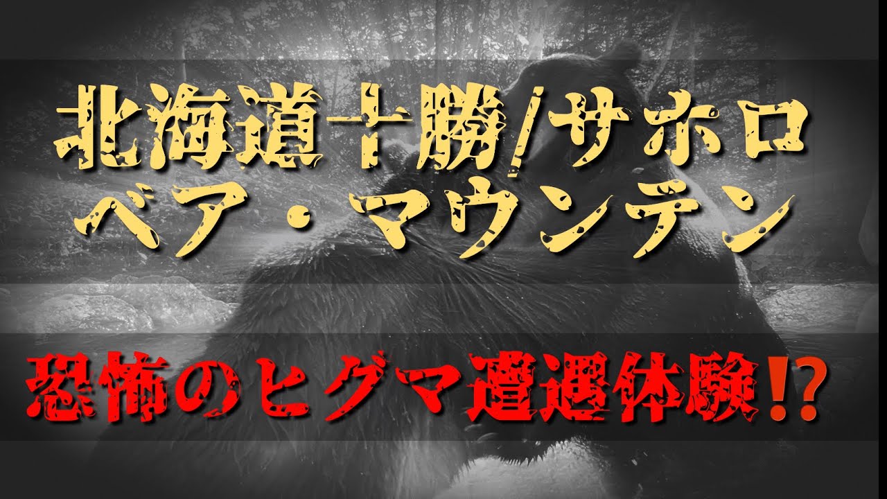 北海道十勝/サホロ　ベア・マウンテン　恐怖のヒグマ遭遇体験⁉️