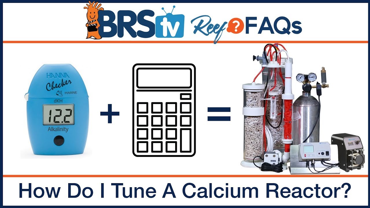 Calcium reactor tuning with a reef tank calculator | ReefFAQs