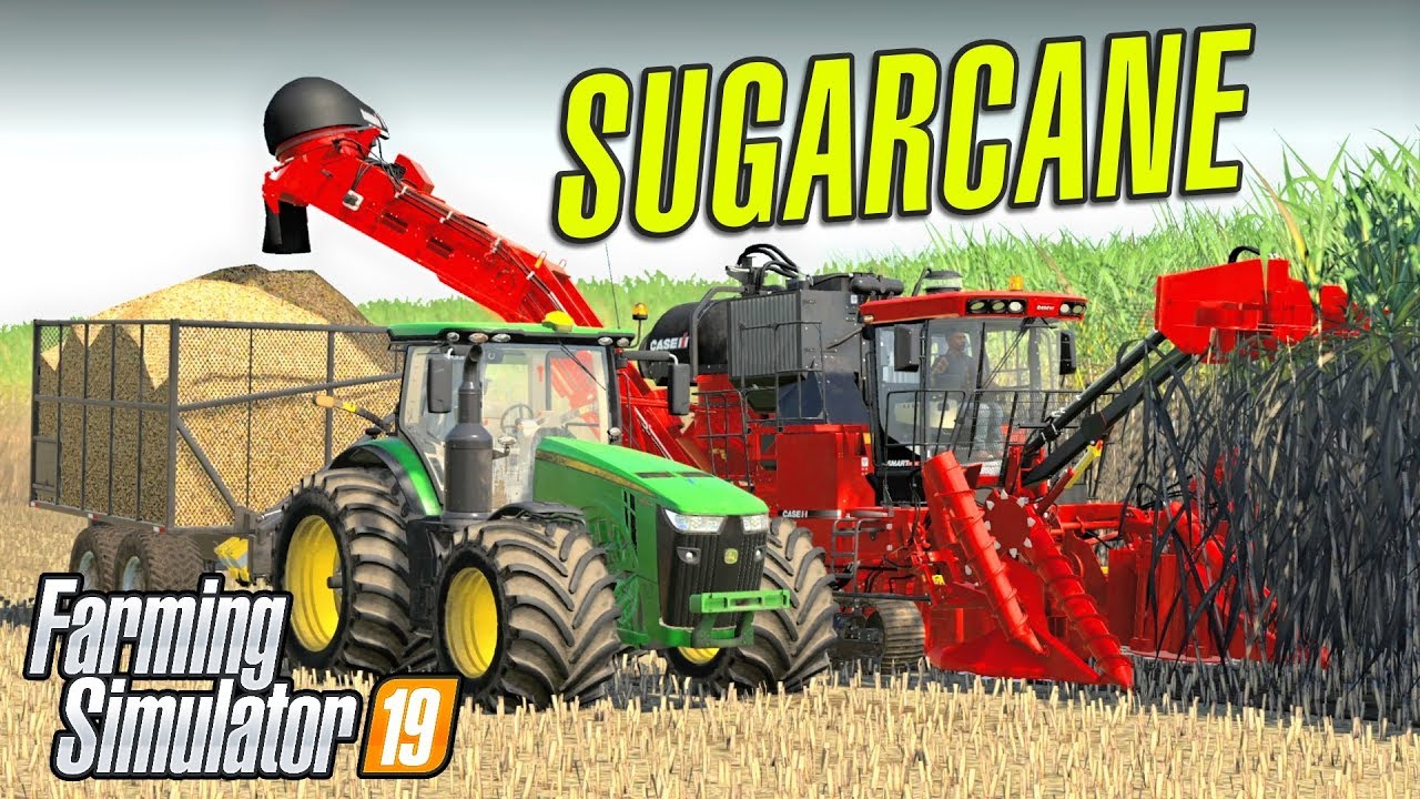 LARGE SCALE SUGARCANE...VERY SWEET - FS19 | Lone Oak Farm