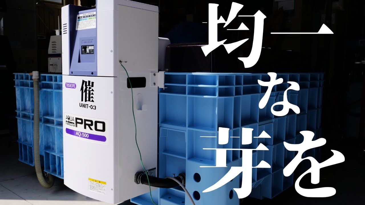 新、催芽機紹介