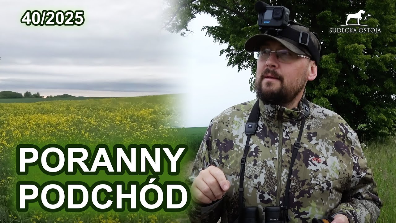 Poranny podch&oacute;d i n&oacute;ż Havalon - SUDECKA OSTOJA 40/2025