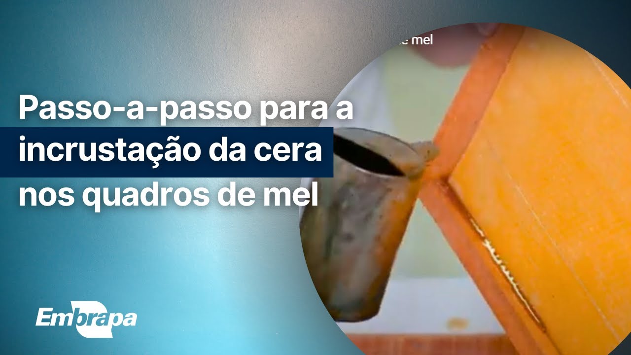 Incrusta&ccedil;&atilde;o da cera nos quadros de mel