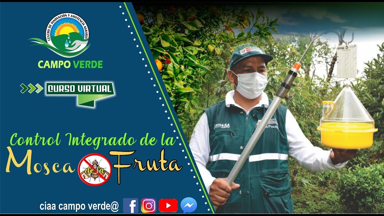 ✅ Control Integrado de Mosca de Fruta