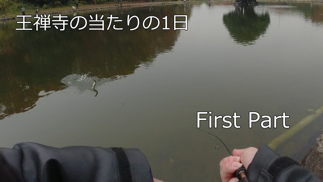 【2025/12月 First Part】高活性の王禅寺は楽しい
