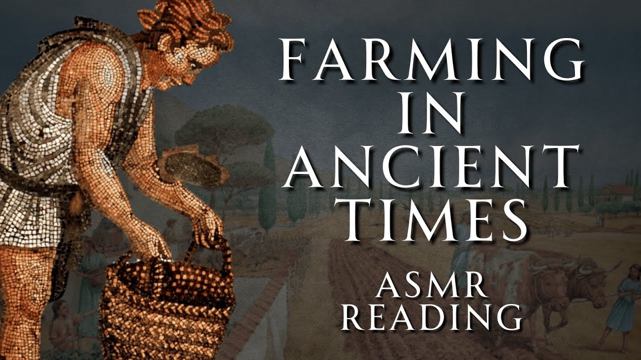 Running a Farm in Ancient Rome | Cato the Elder - On Agriculture | Human Voiced, No Ads