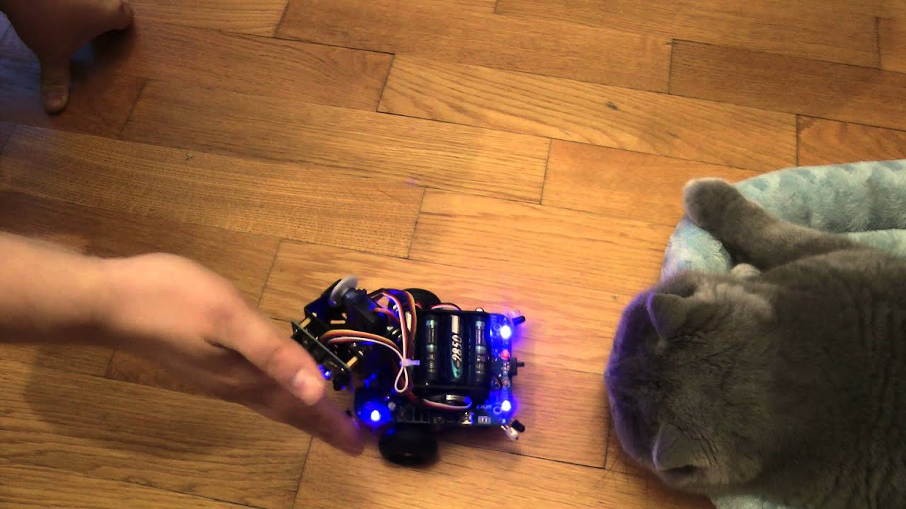 Adventure Bot Interactive Robot (HD)