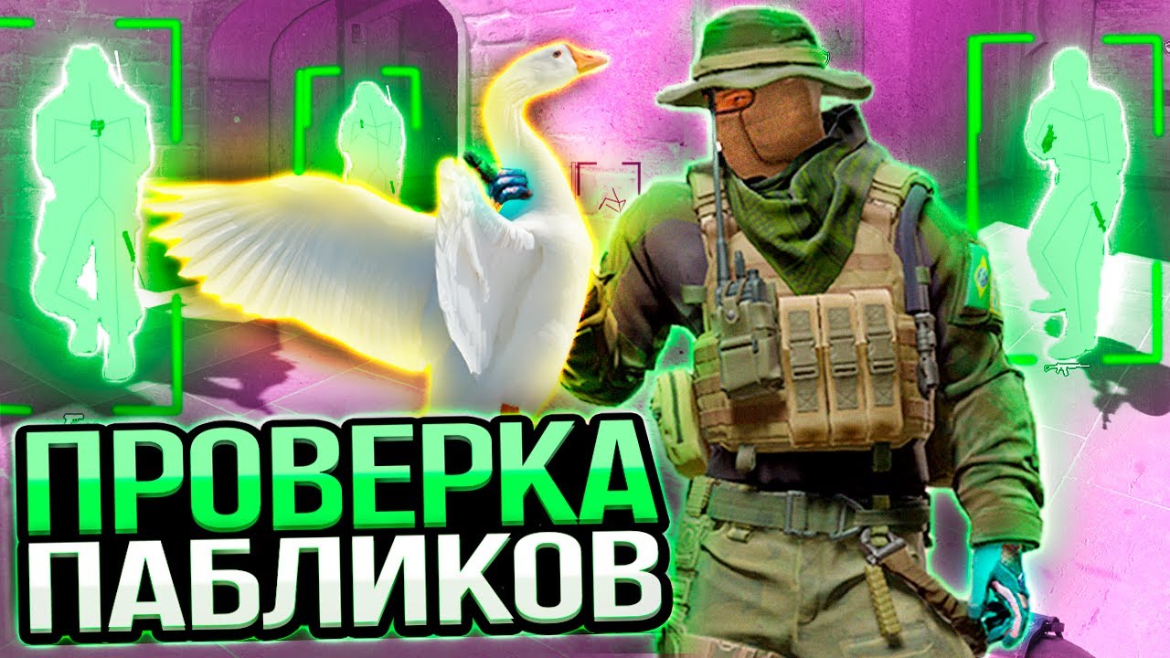 🪿 ГУСЬ ВЗЯЛ ПОД КОНТРОЛЬ МОЙ КОМПЬЮТЕР - ПРОВЕРКА ПАБЛИКОВ В CS2 [XONE]
