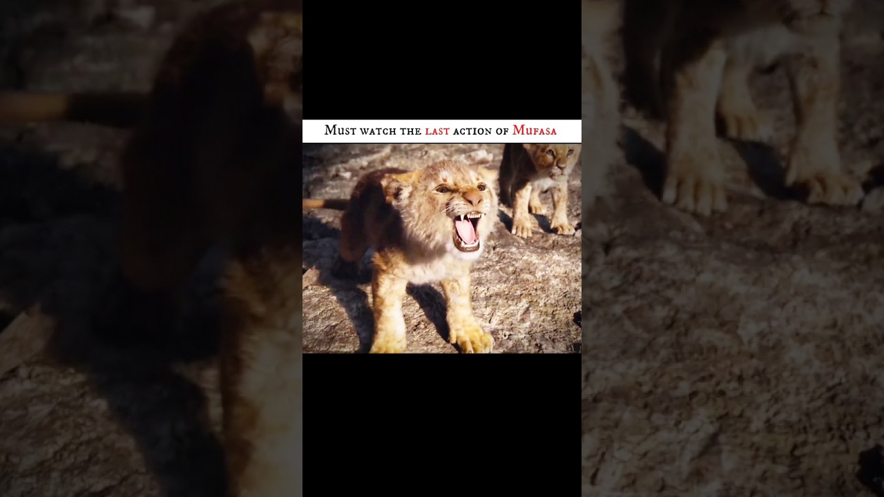 Mufasa Lion King 4K edit with powerful scenes, cinematic vibes, epic moments and royal legacy