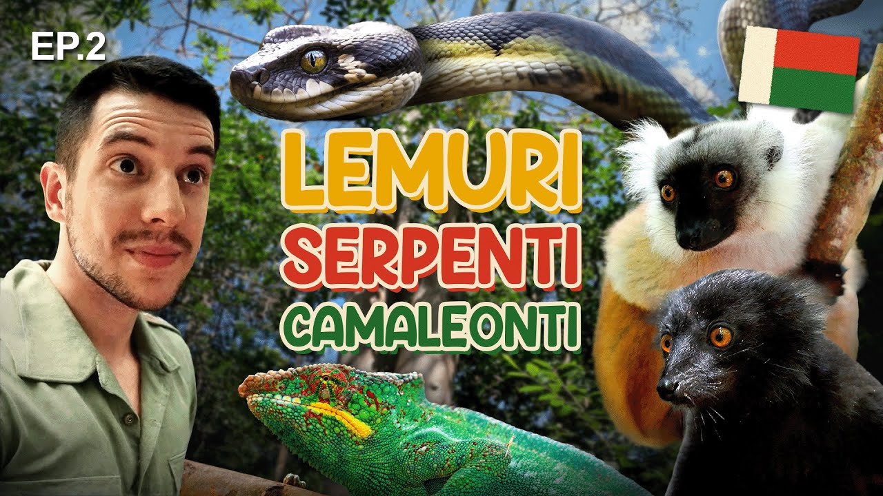 Esplorando la FORESTA di LOKOBE in Madagascar 🐒 Nosy Be Ep.2
