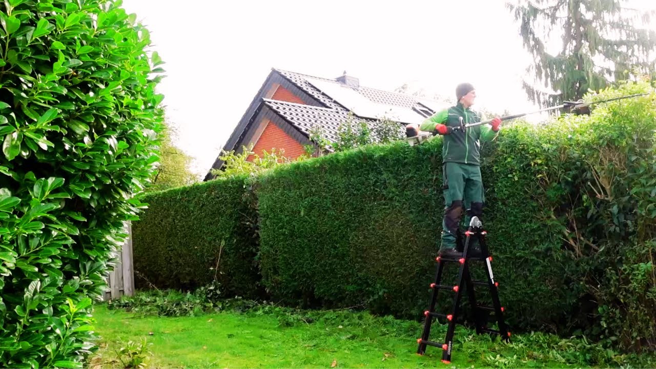 Die NACHBARN haben direkt nach Terminen für Ihre HECKEN gefragt ! Hedgecutting satisfying