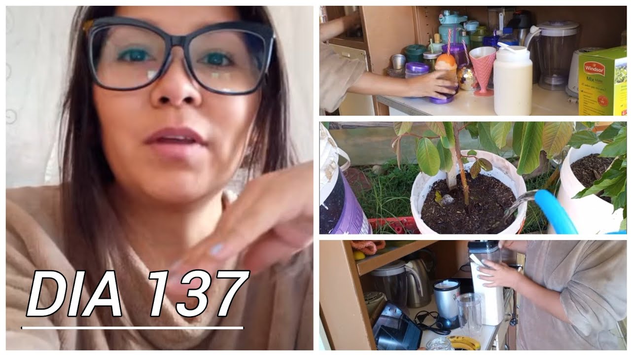 Organizando cajones, Alimento mis gallinas y riego mis plantas