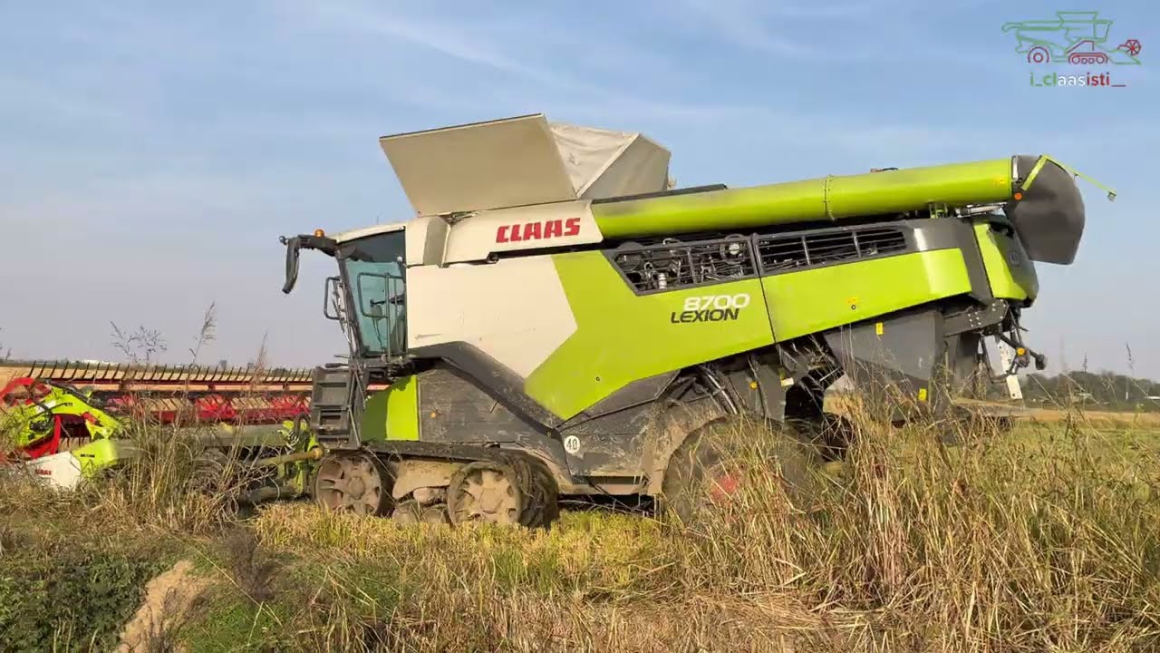 claas lexion 8700 + convio flex 770 trebbiatura riso 2025 