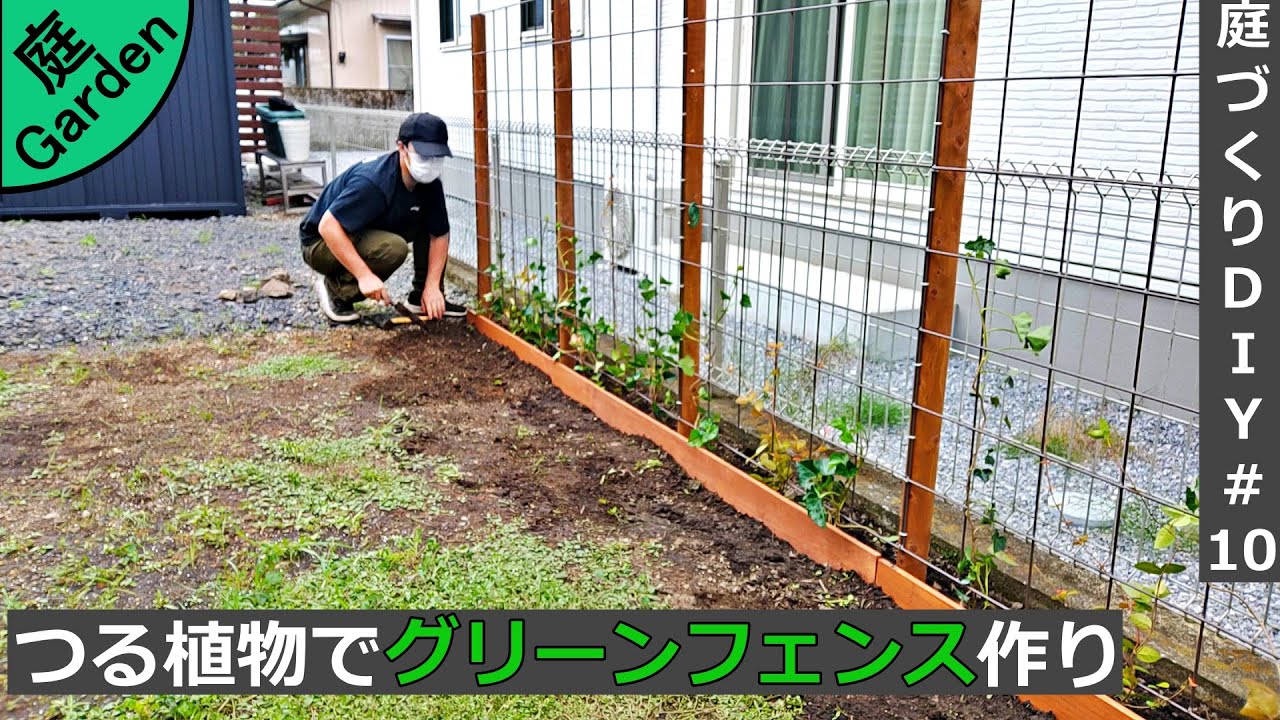つる性植物を使ってグリーンフェンスを作る【庭づくりDIY#10】
