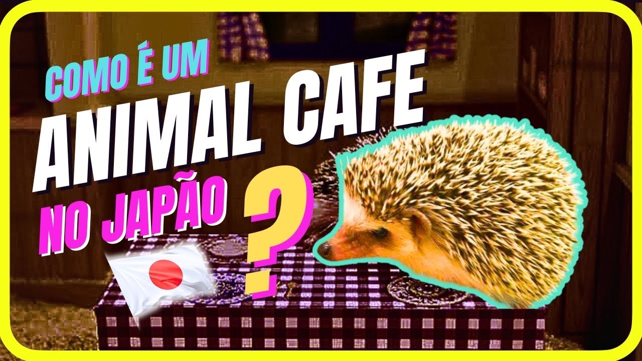 🇯🇵 JAPÃO ANIMAL CAFÉ ☕️ Passando a tarde com GATINHOS 🐈 COELHOS  🐇 e PORCO-ESPINHOS 🦔