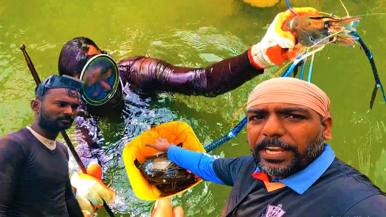 බිත්තර ඉස්සො අල්ලන්නෙ ඇයි ??? | 