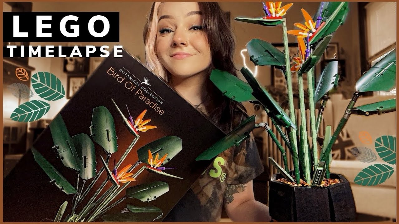LEGO BIRD OF PARADISE!!!
