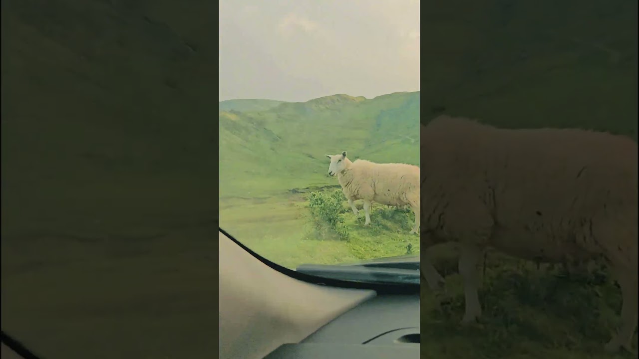 Driving Through Glengesh Pass | Scenic Road to Ardara, Donegal 🇮🇪 #travelireland #thetravelday